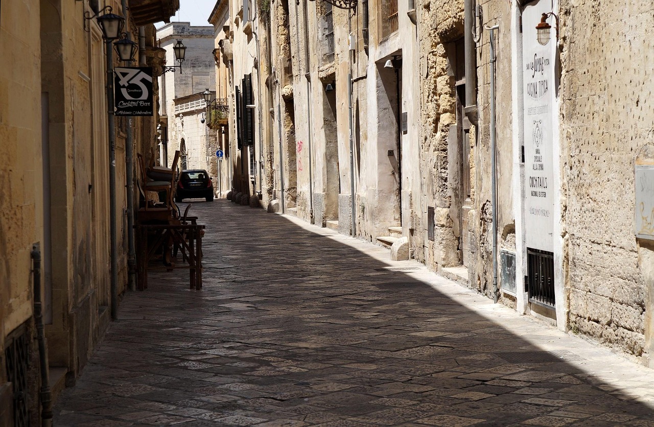 Guided walking tour through historic streets
